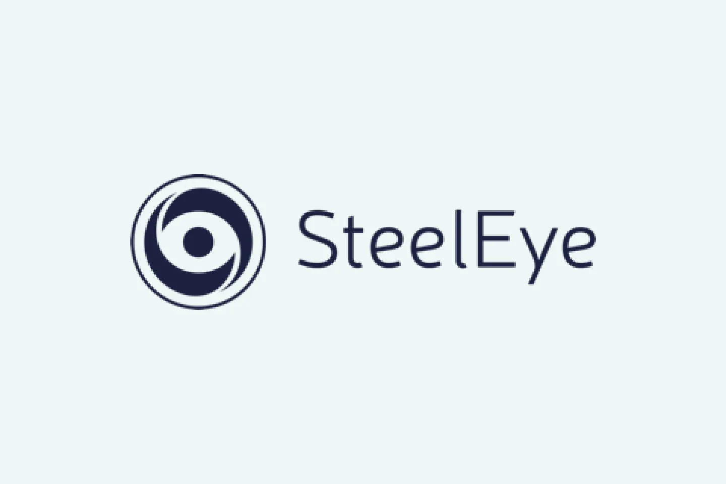 Steeleye logo