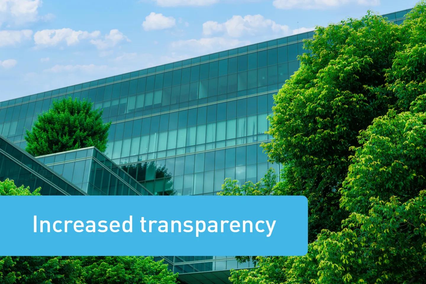increased transparency