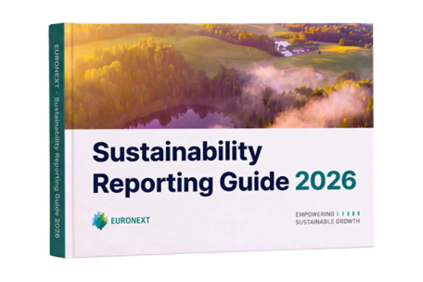 Version MINI Mockup Reporting Guide 2026