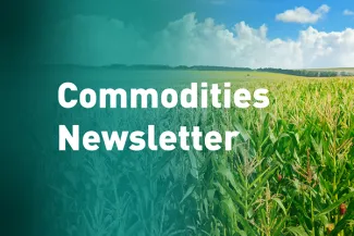Commodities Newsletter