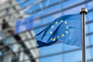 Image - New Single Stock Options