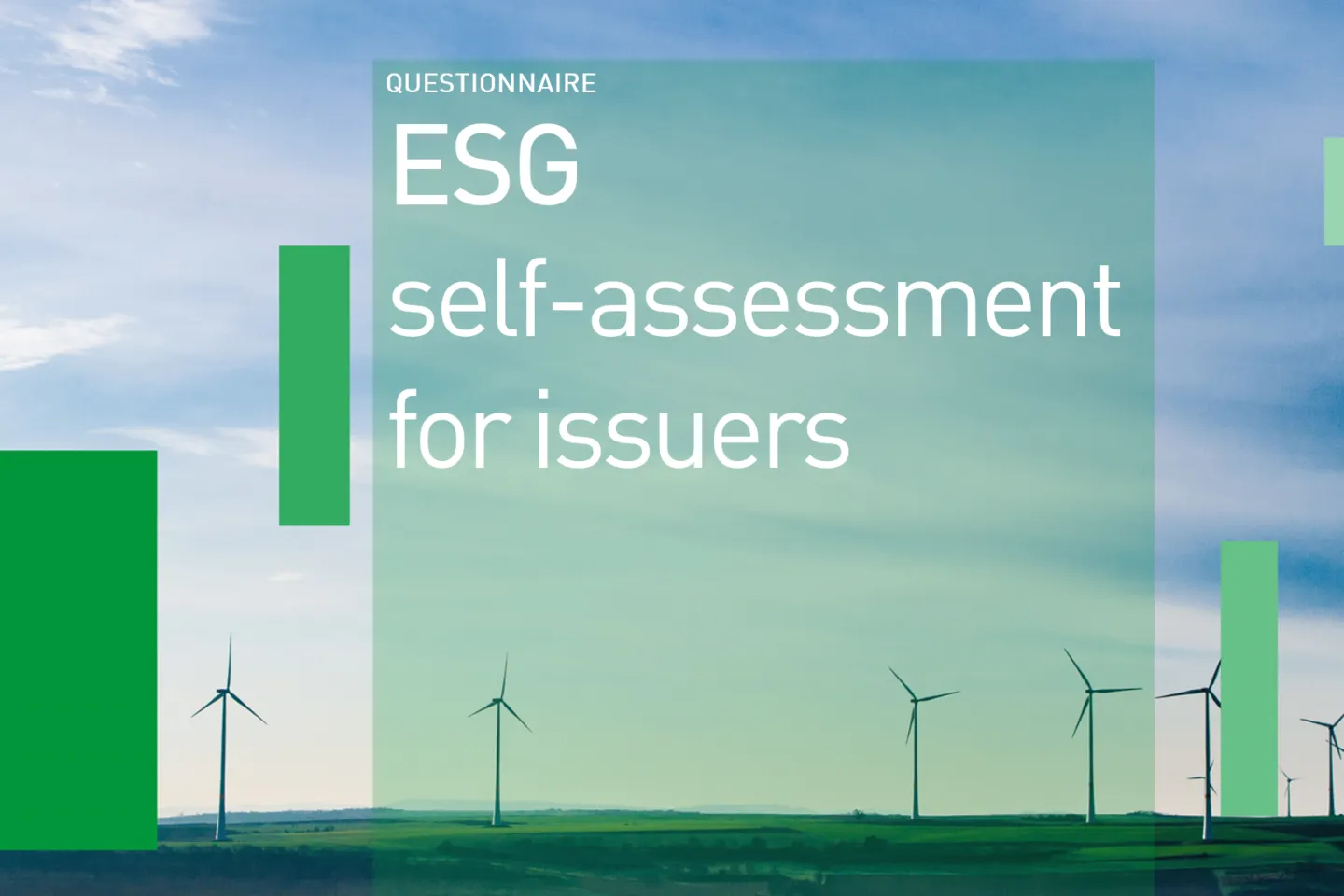 ESg Self-Assessment for Issuers