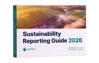 Version MINI Mockup Reporting Guide 2026